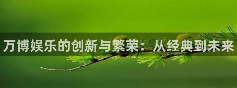 长征娱乐平台：万博娱乐的创新与繁荣：从经典到未来