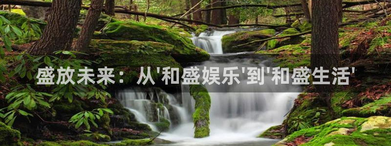 长征娱乐主管：盛放未来：从\'和盛娱乐\'到\'和盛生活\'