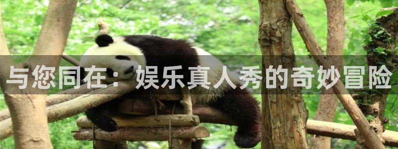 长征娱乐登录
