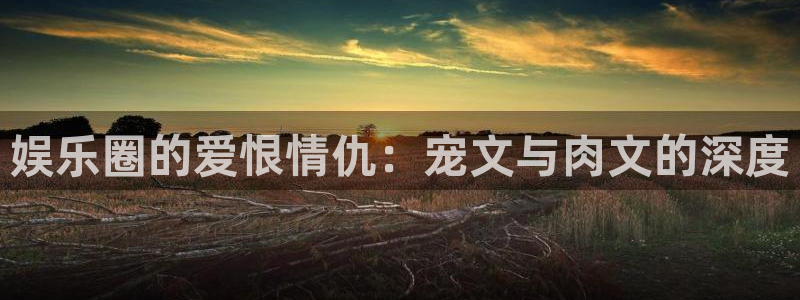 长征娱乐：娱乐圈的爱恨情仇：宠文与肉文的深度