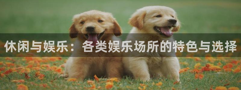 长征娱乐登录：休闲与娱乐：各类娱乐场所的特色与选择