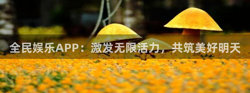 长征娱乐登录：全民娱乐APP：激发无限活力，共筑美好明天