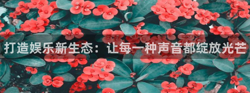 长征娱乐平台注册：打造娱乐新生态：让每一种声音都绽放光芒